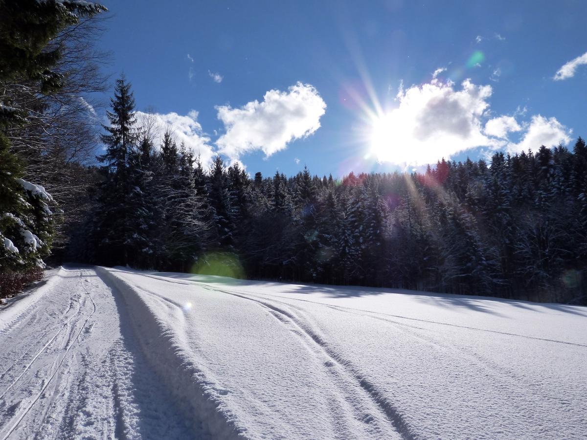 Pilznerhof Lägenhet Strobl Exteriör bild