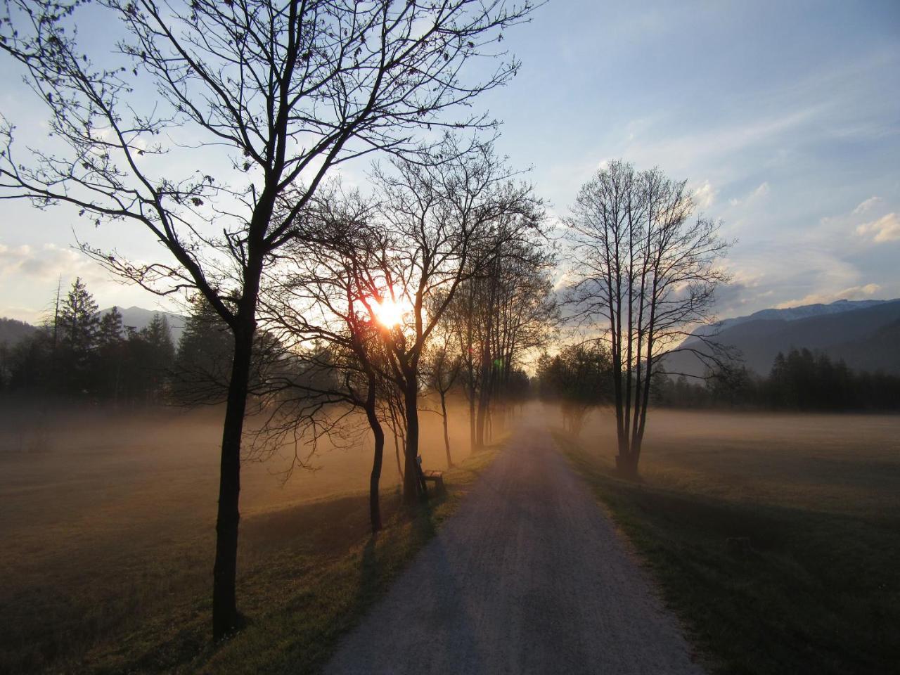 Pilznerhof Lägenhet Strobl Exteriör bild