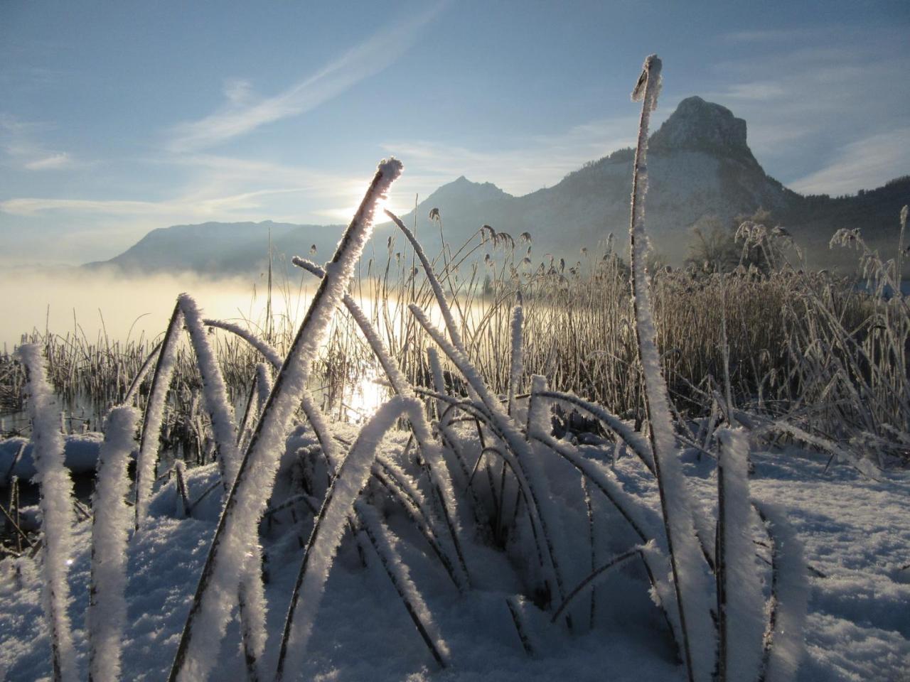 Pilznerhof Lägenhet Strobl Exteriör bild