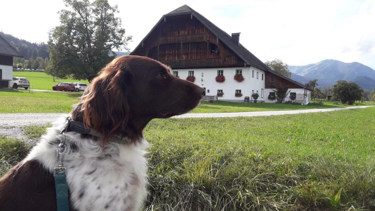 Pilznerhof Lägenhet Strobl Exteriör bild